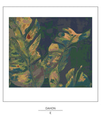 DAHON