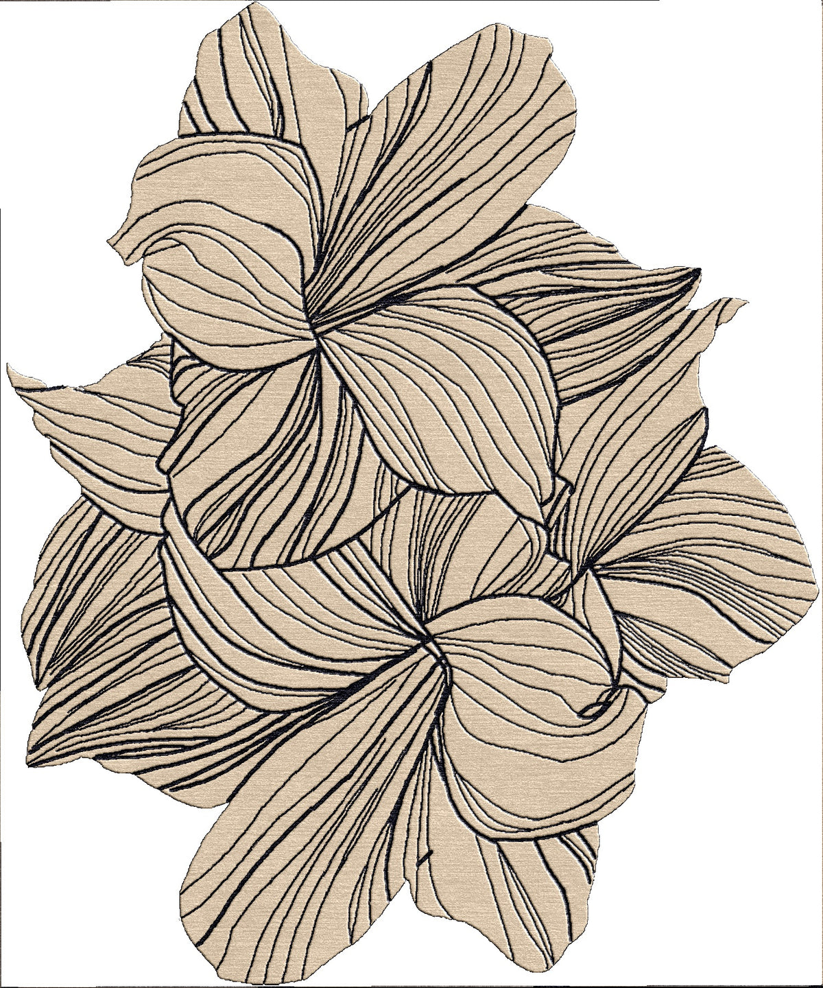 FAUNA