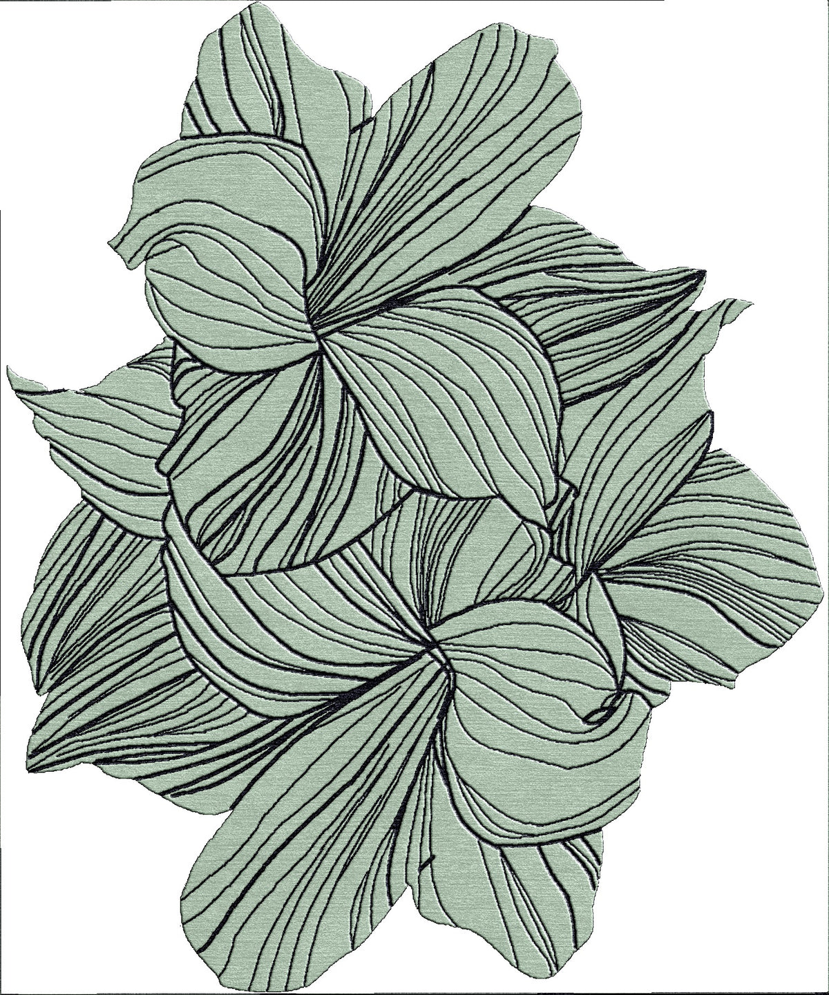FAUNA