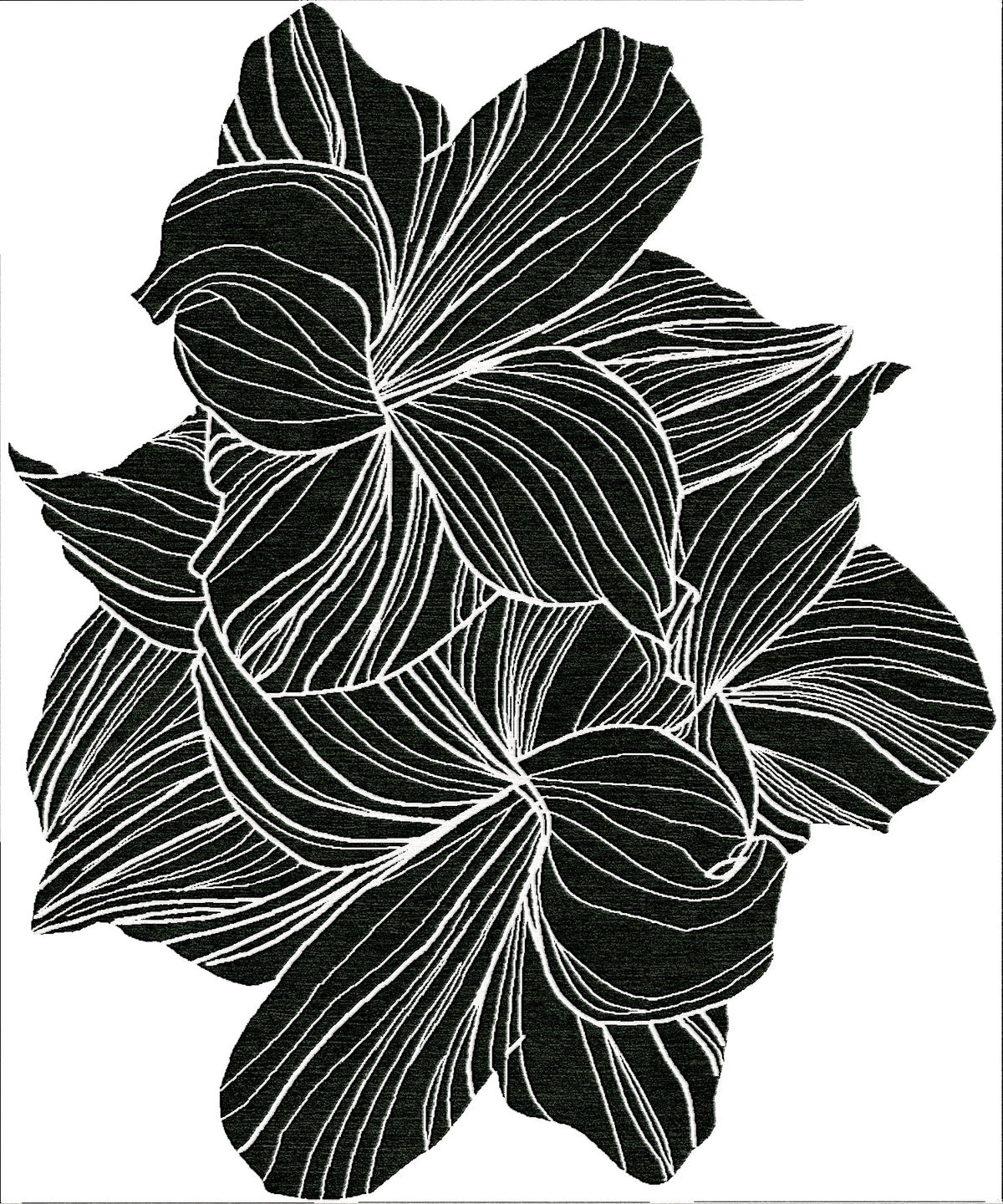 FAUNA