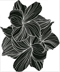 FAUNA
