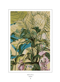 Selva