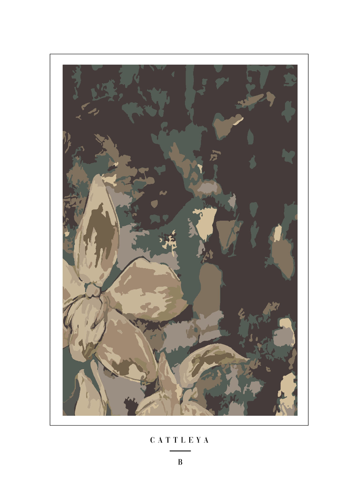 cattleya