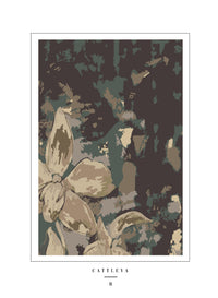 cattleya
